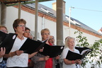IMG 5631